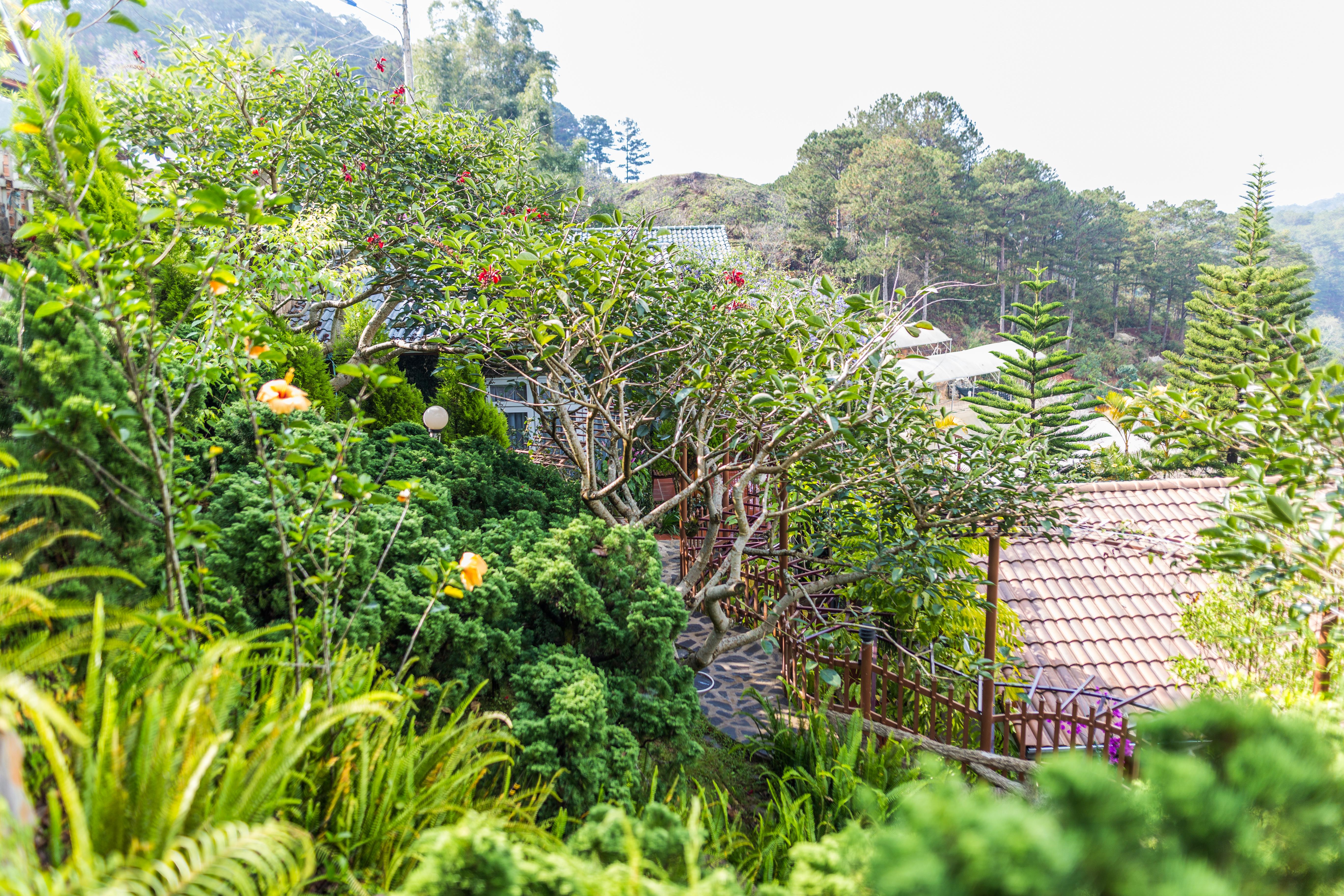 Zen Valley Dalat Exterior photo